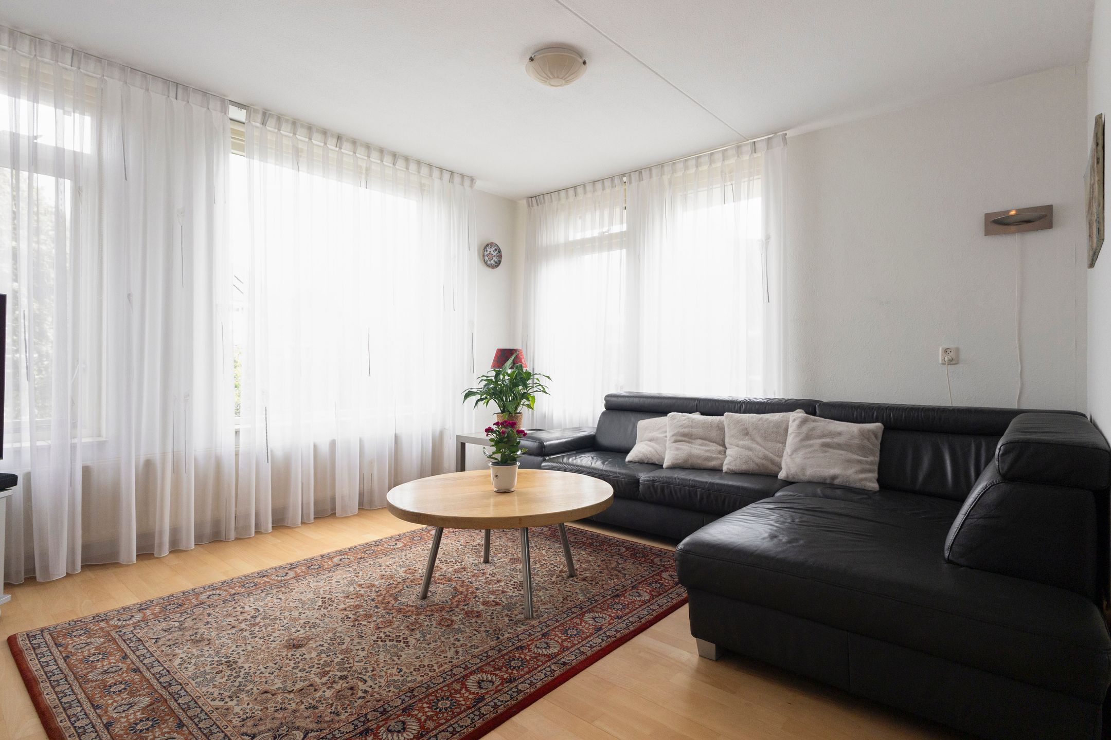 Foto 6 van Wierbalg 2812