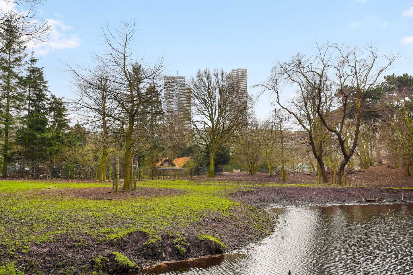 Photo 19 of Anna van Buerenplein 250