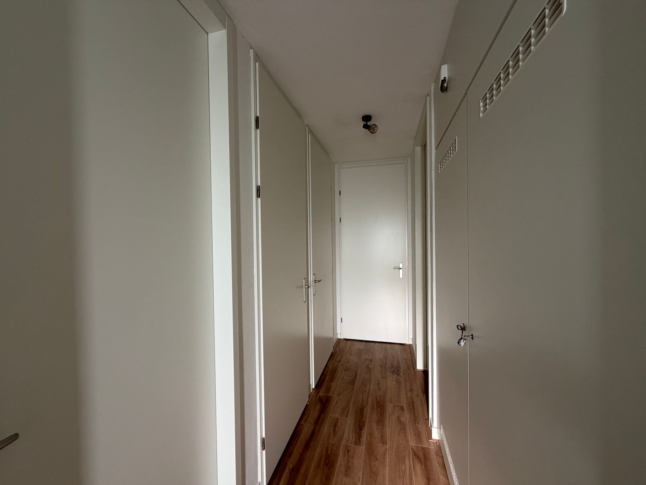 Foto 3 van Wilde rucolavliet 1