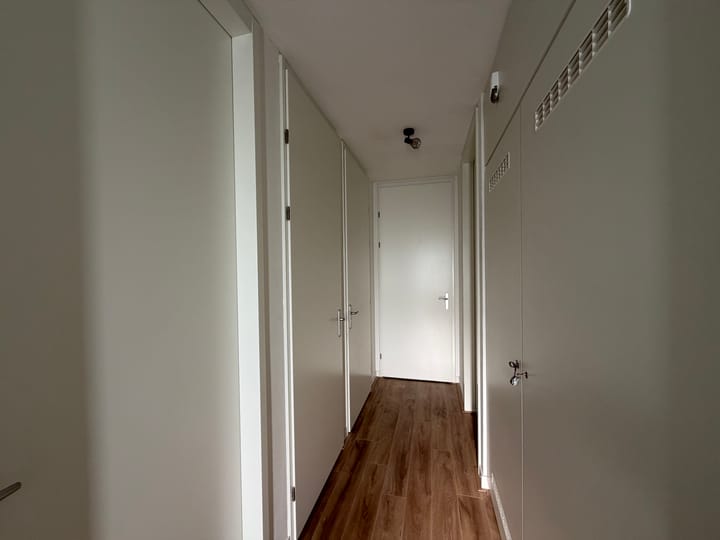 Foto 3 van Wilde rucolavliet 1