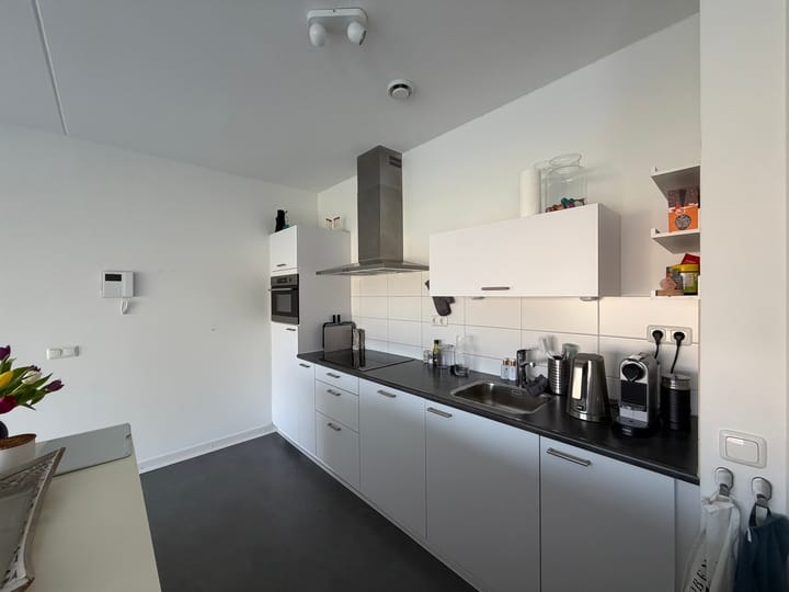 Foto 4 van Wilde rucolavliet 1