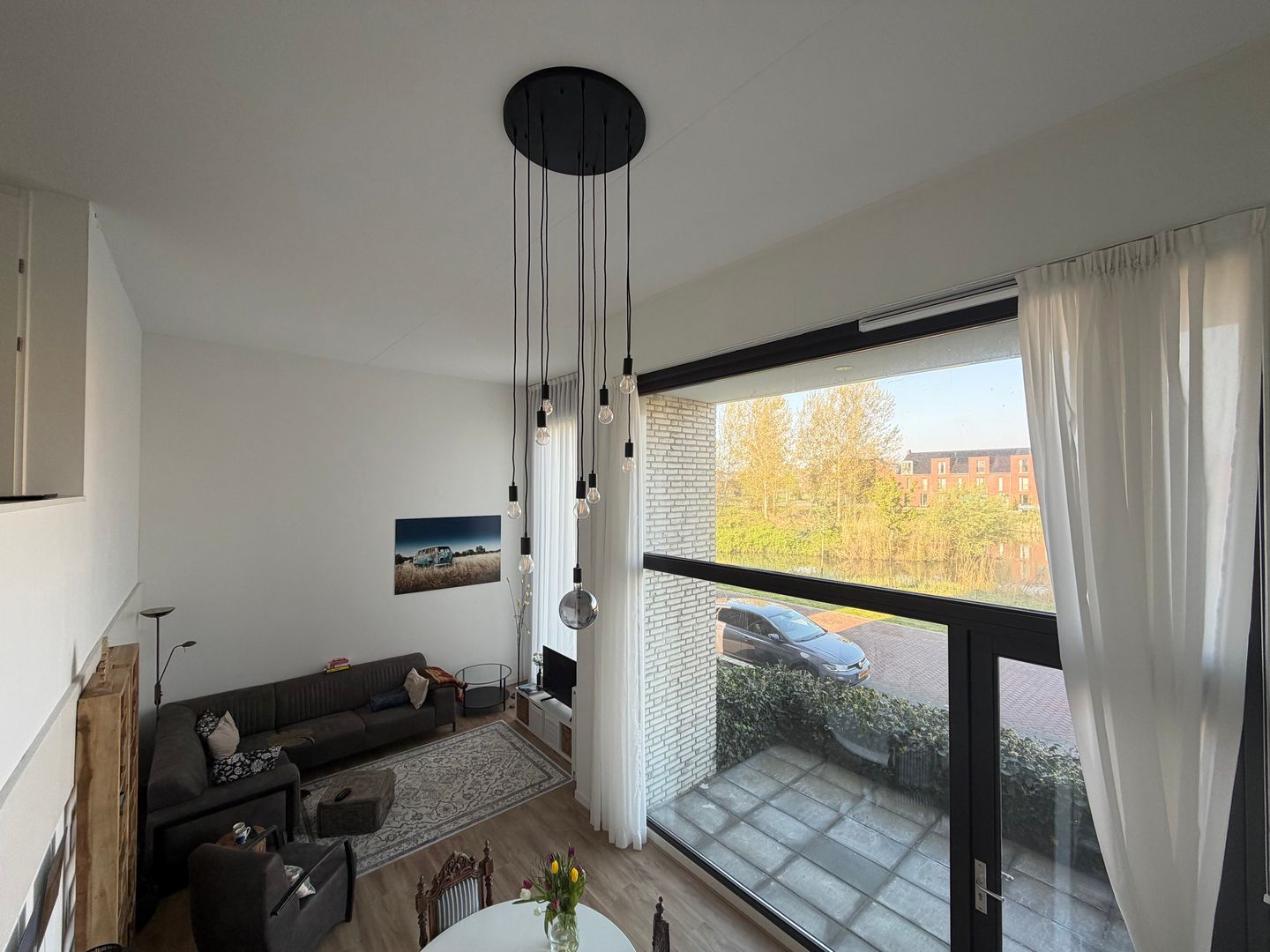 Foto 5 van Wilde rucolavliet 1