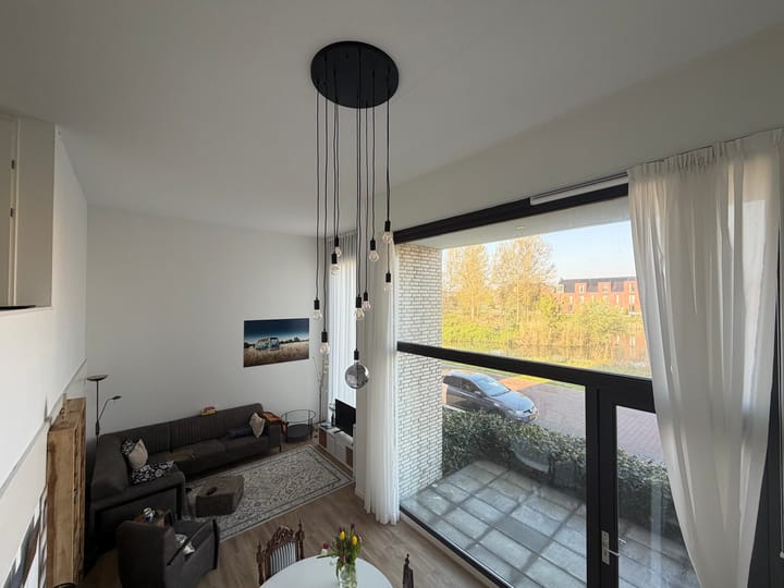 Foto 5 van Wilde rucolavliet 1