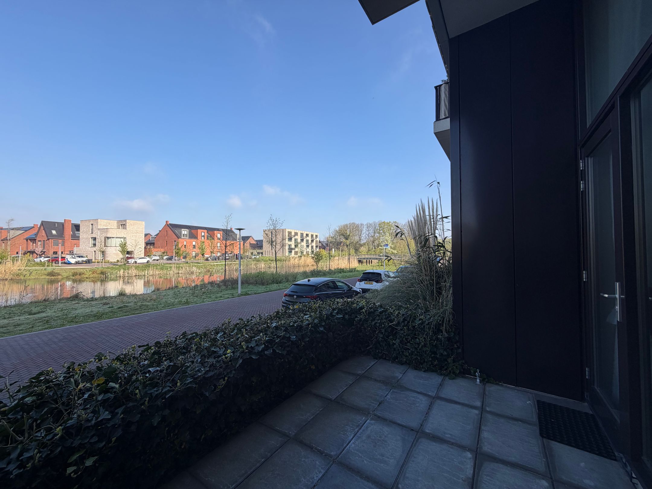 Foto 9 van Wilde rucolavliet 1