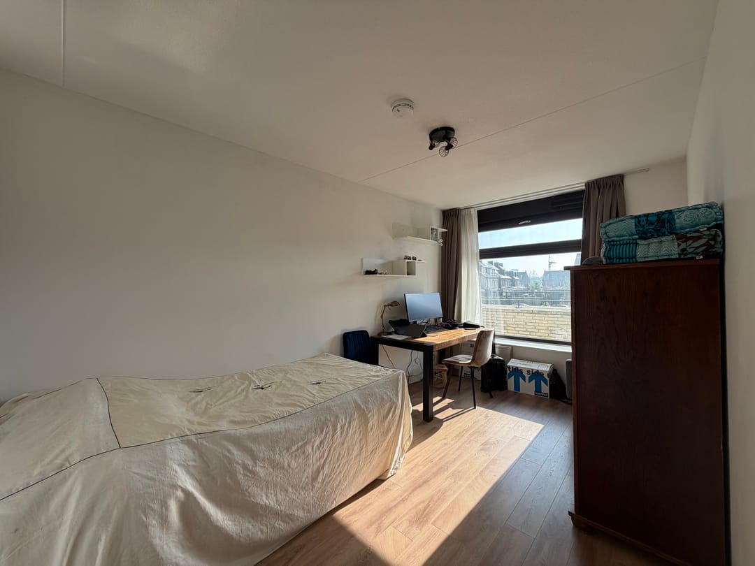 Foto 11 van Wilde rucolavliet 1