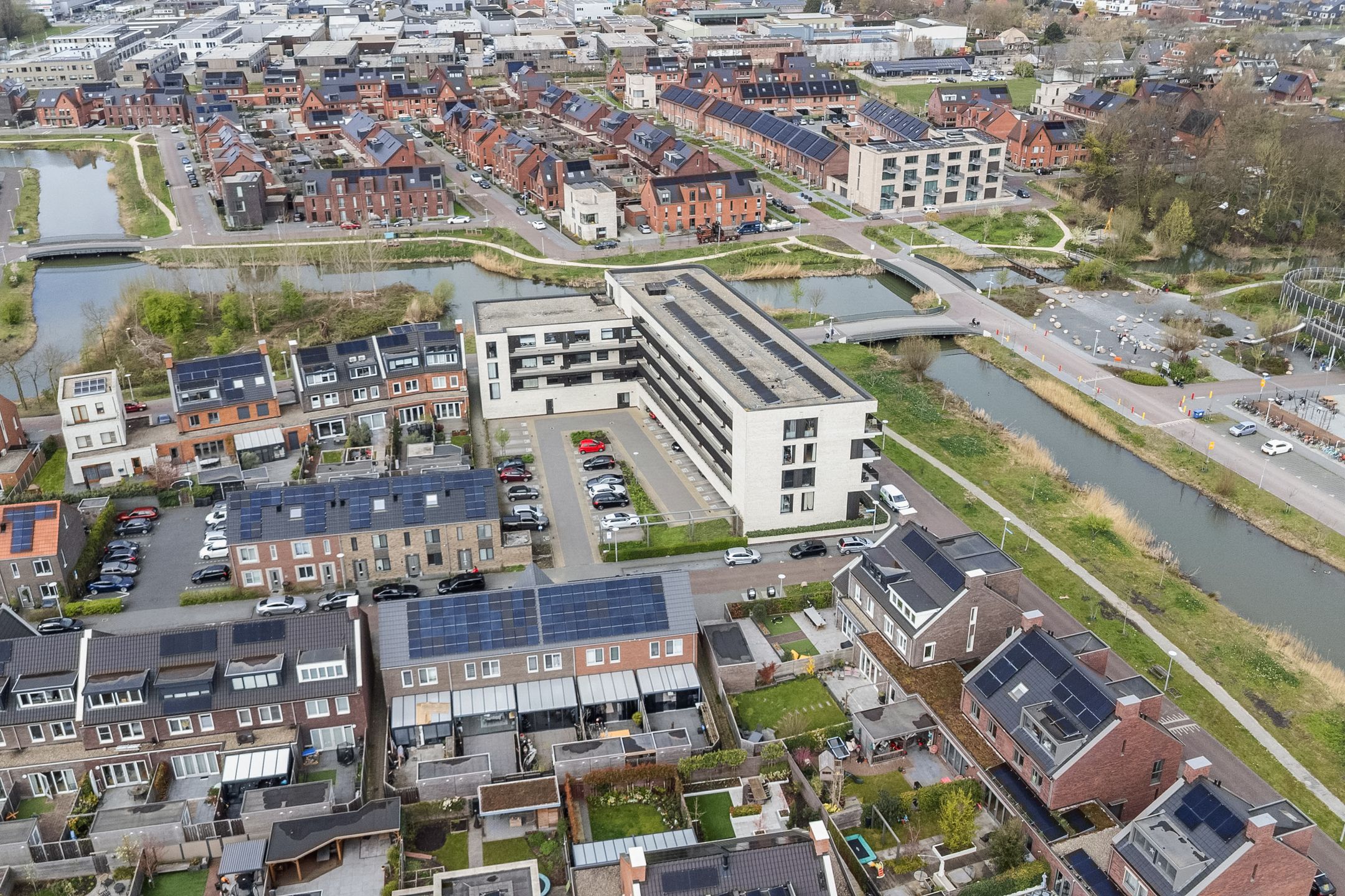 Foto 18 van Wilde rucolavliet 1