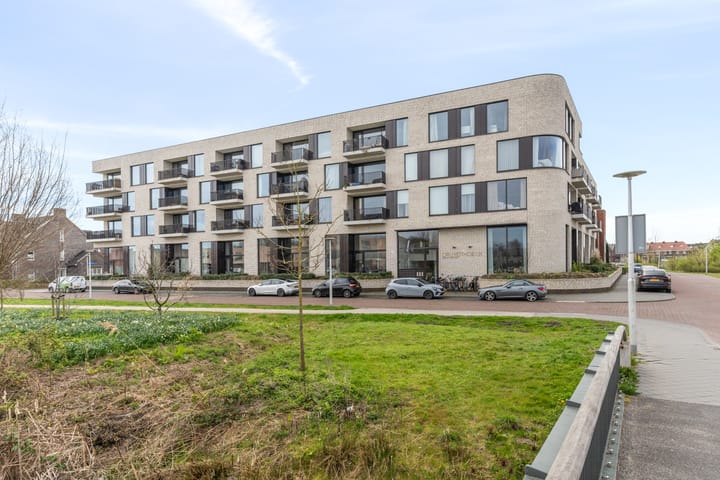 Foto 2 van Wilde rucolavliet 1