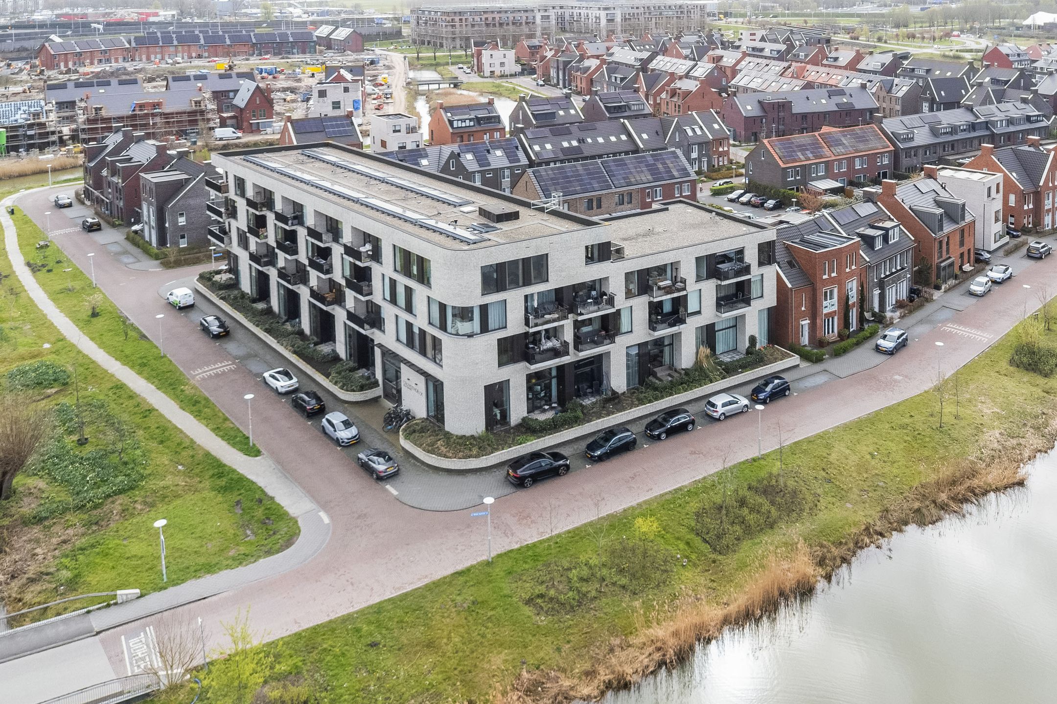 Foto 15 van Wilde rucolavliet 1