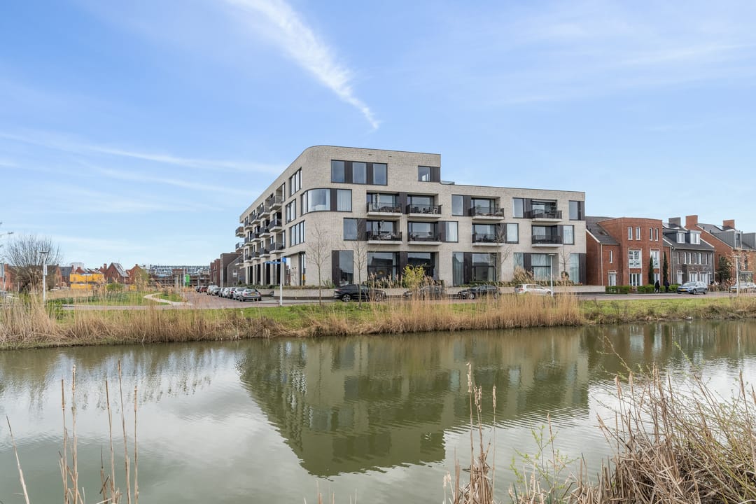 Foto 1 van Wilde rucolavliet 1