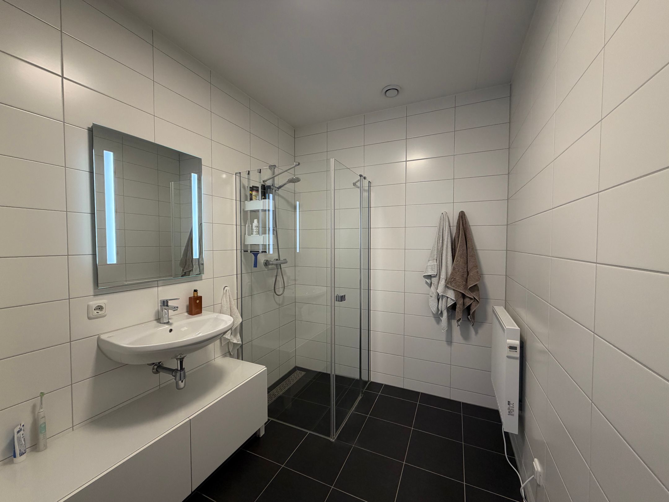 Foto 12 van Wilde rucolavliet 1