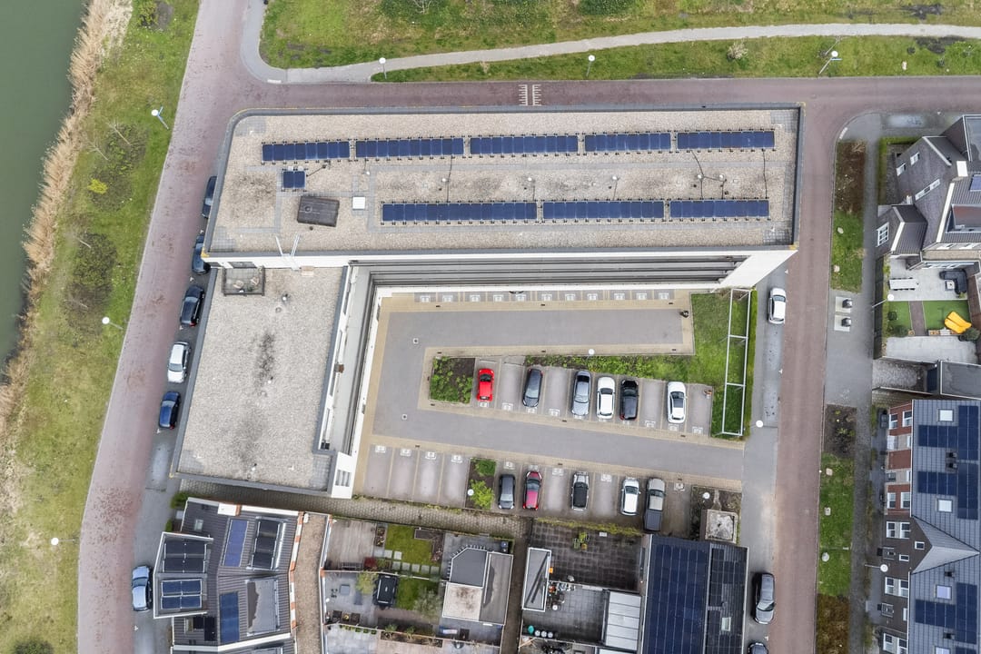 Foto 17 van Wilde rucolavliet 1