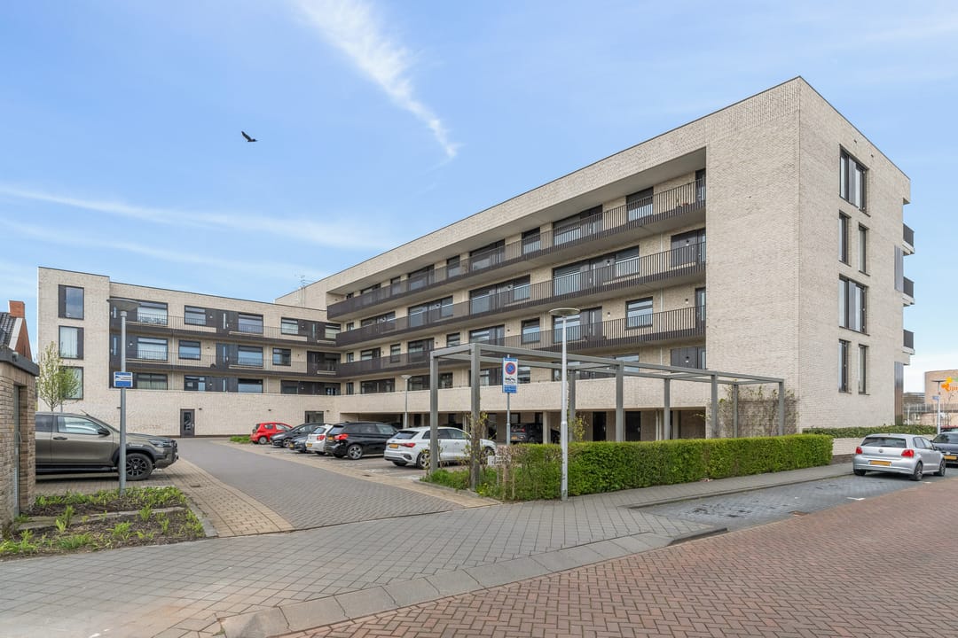 Foto 16 van Wilde rucolavliet 1