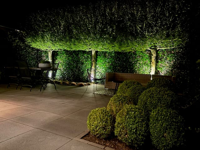 Photo 36 of De Toom 4