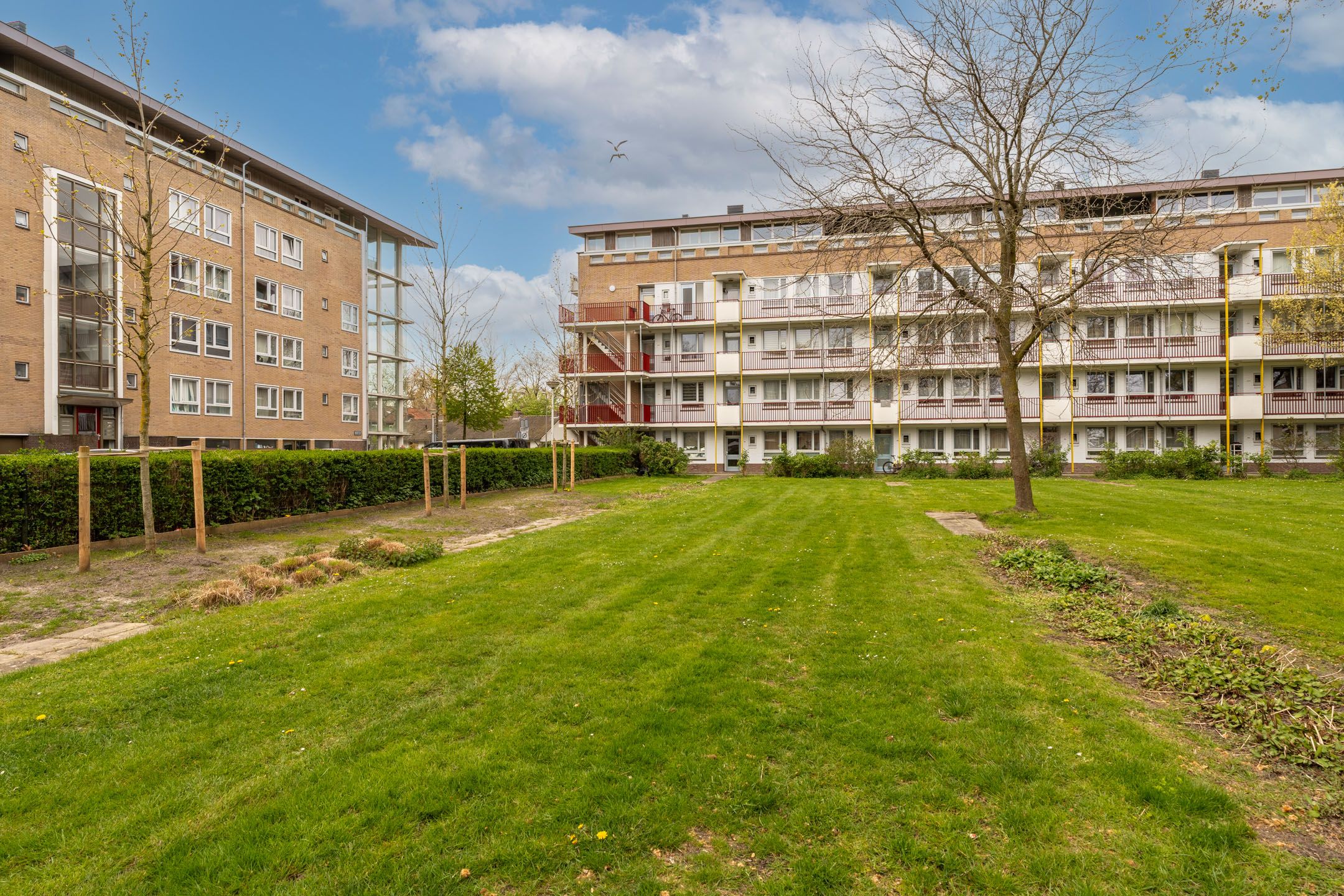 Photo 39 of Aalbersestraat 238