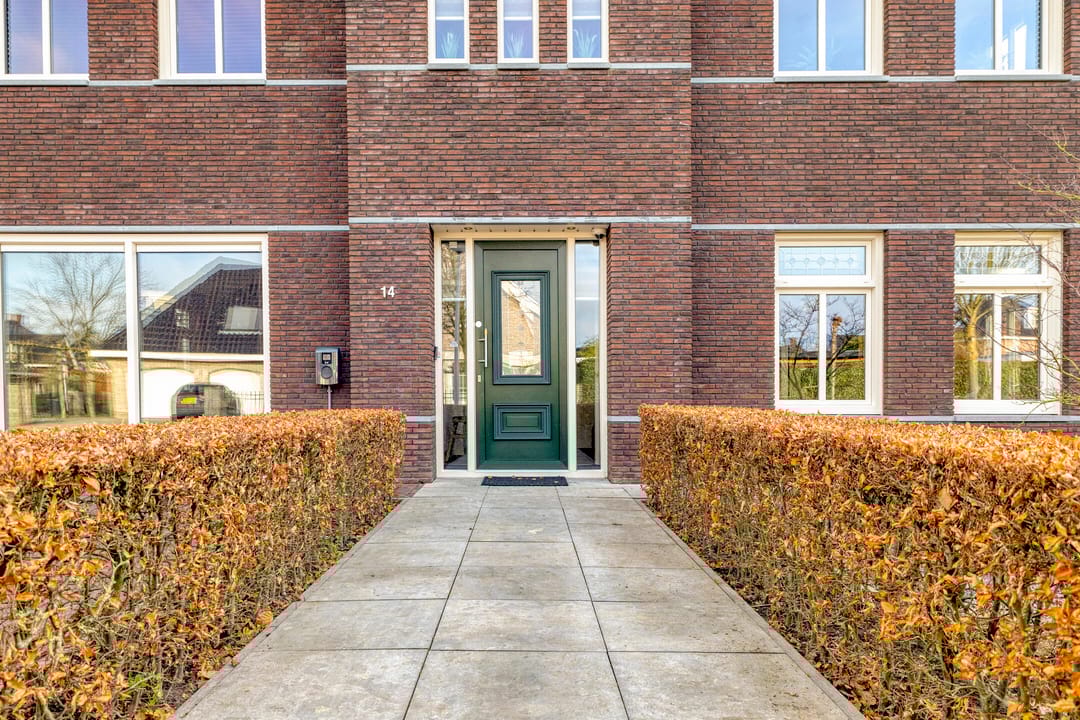 Photo 7 of Elsanta 14