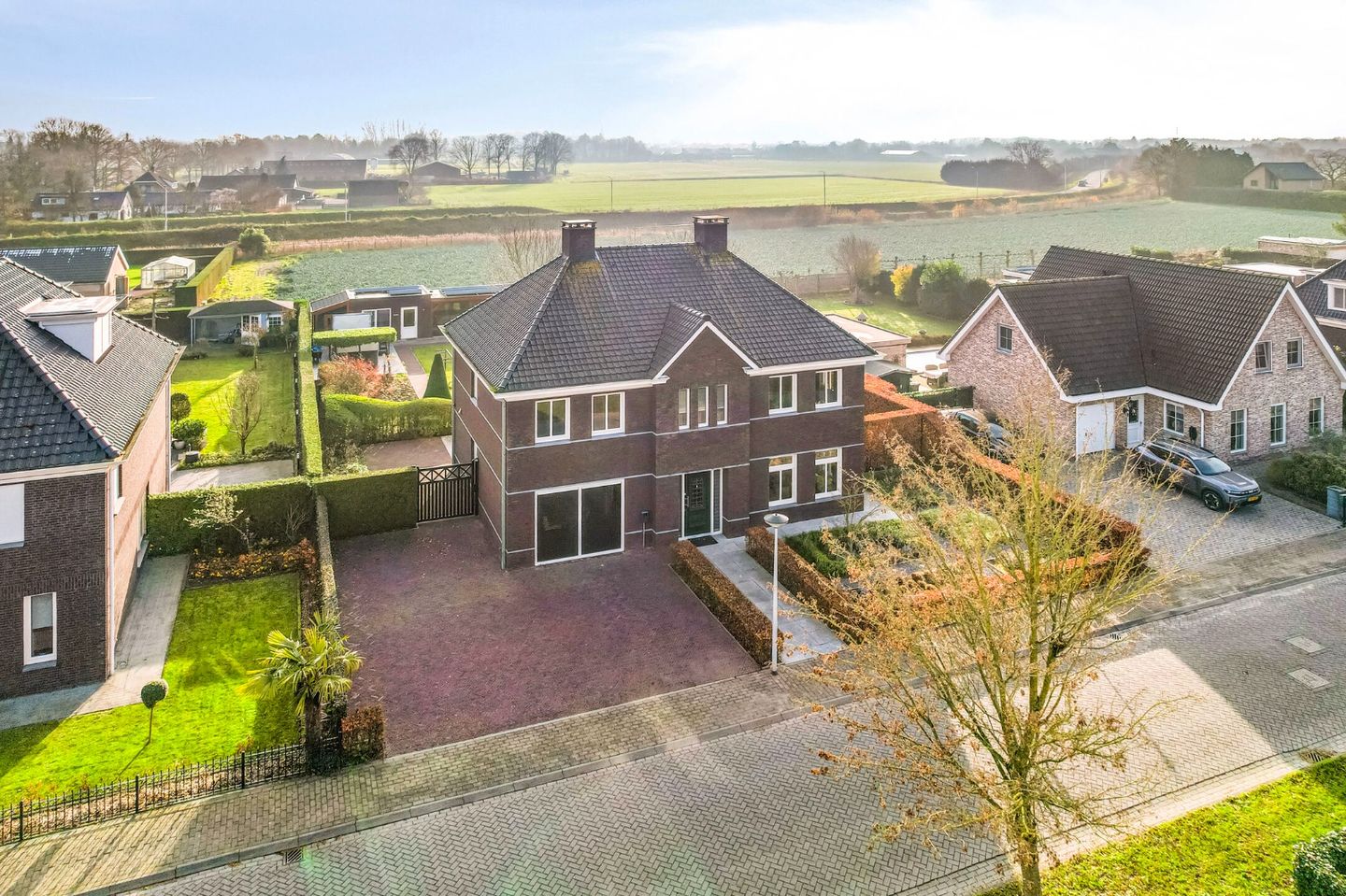 Photo 5 of Elsanta 14