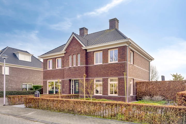 Elsanta 14 main image