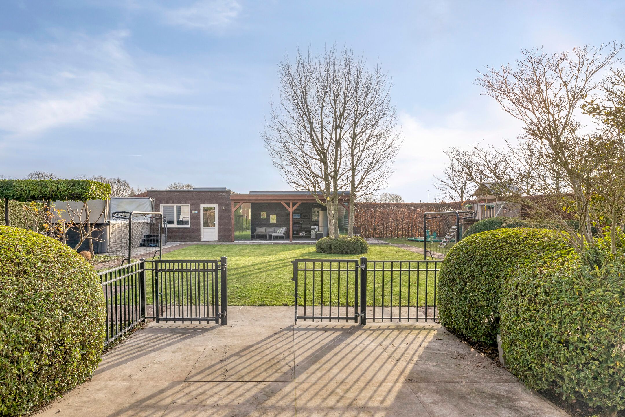 Photo 45 of Elsanta 14