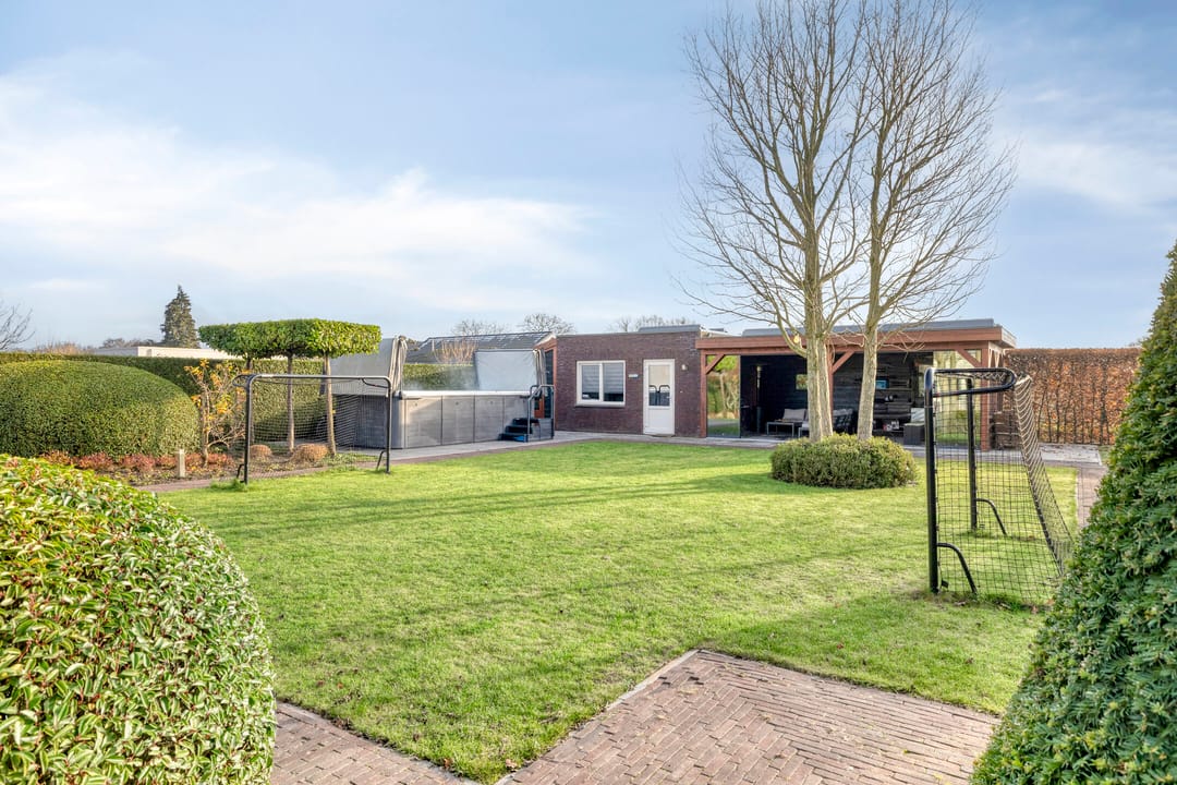 Photo 46 of Elsanta 14