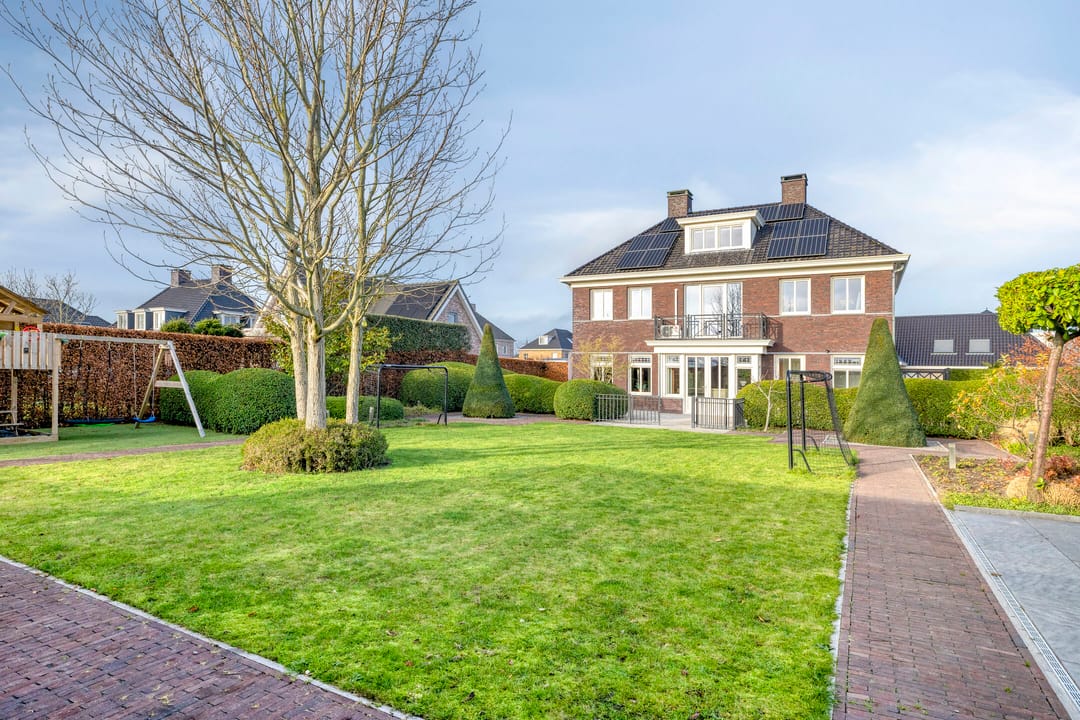 Photo 53 of Elsanta 14