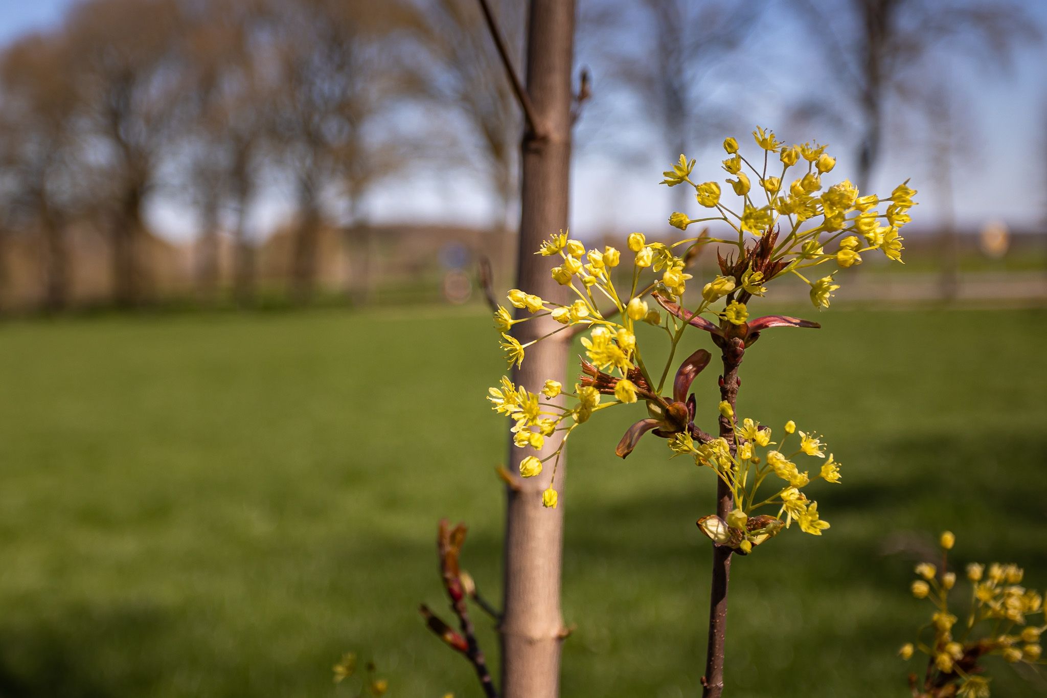 Foto 30 van Nieuweweg 11