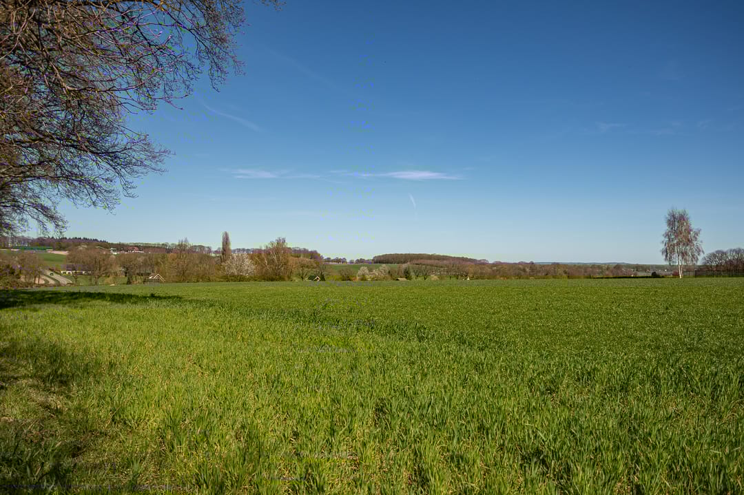 Foto 31 van Nieuweweg 11