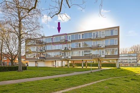 Beekmanstraat thumbnail