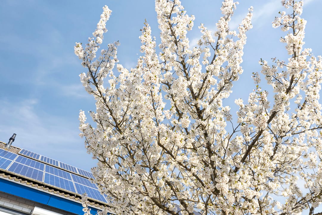 Foto 2 van Vossestaart 37