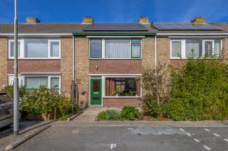 Kamillestraat thumbnail