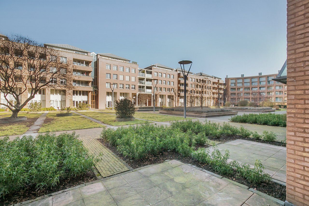 Photo 18 of Mosalunet 54