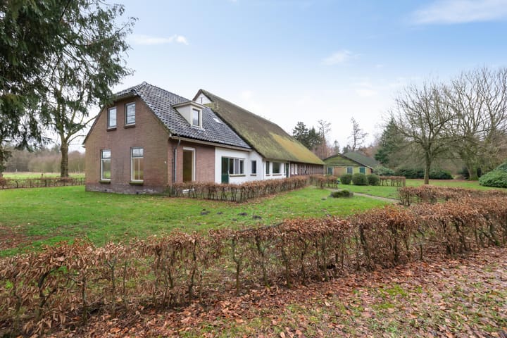 Foto 3 van Rolderstraat 11