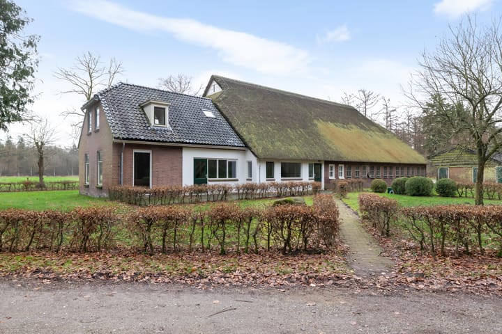 Foto 4 van Rolderstraat 11