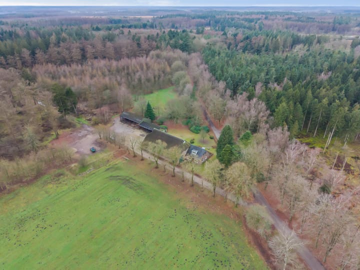 Foto 2 van Rolderstraat 11