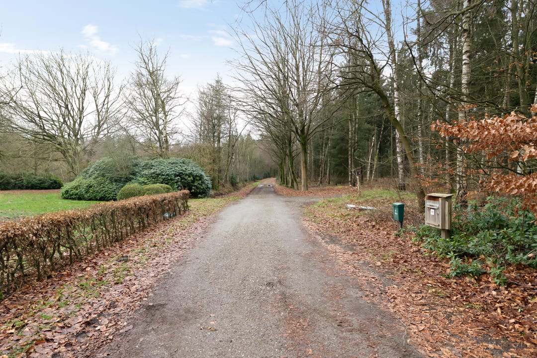 Foto 28 van Rolderstraat 11