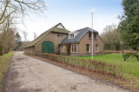 Rolderstraat thumbnail