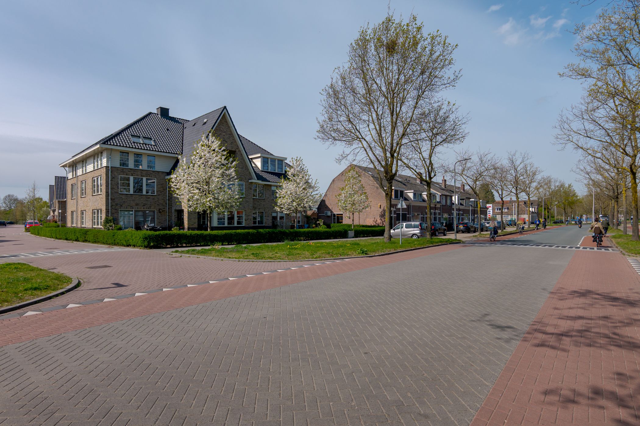 Photo 6 of Rozeboomlaan 16