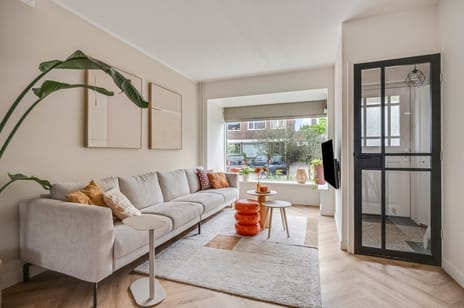 De Savornin Lohmanstraat thumbnail