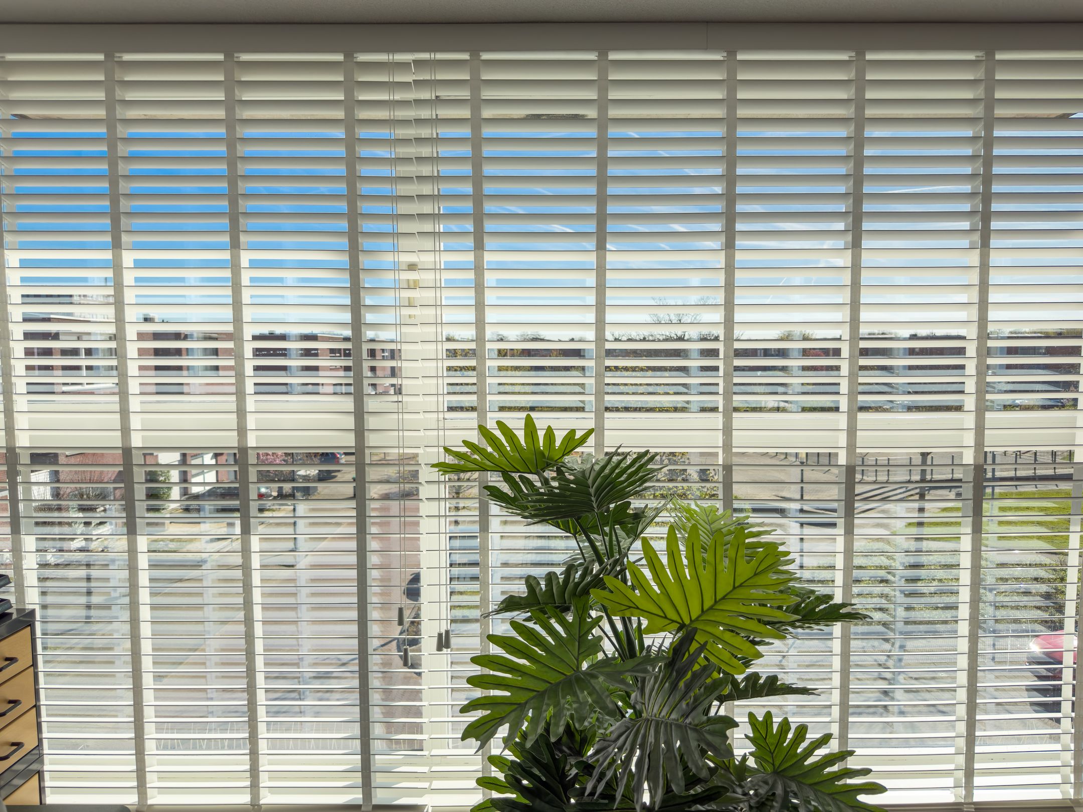 Foto 42 van Kreeftwater 6