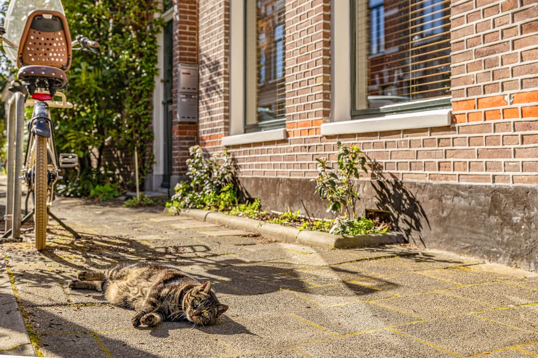 Foto 7 van Leeuwarderstraat 29