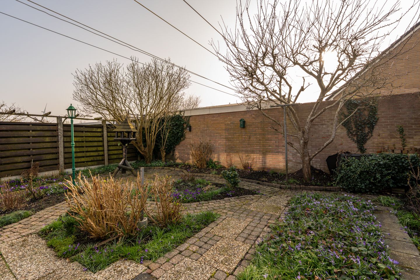 Foto 34 van Parklaan 41