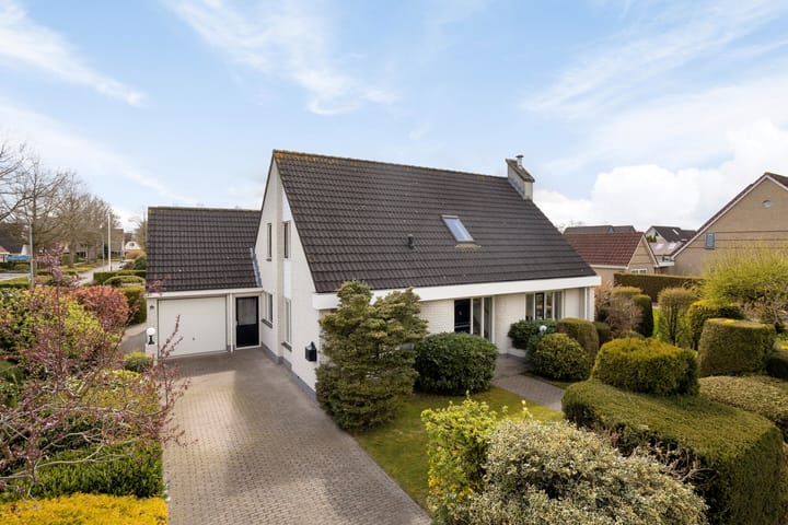 Hondsdraf 1 main image