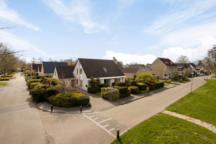 Foto 4 van Hondsdraf 1