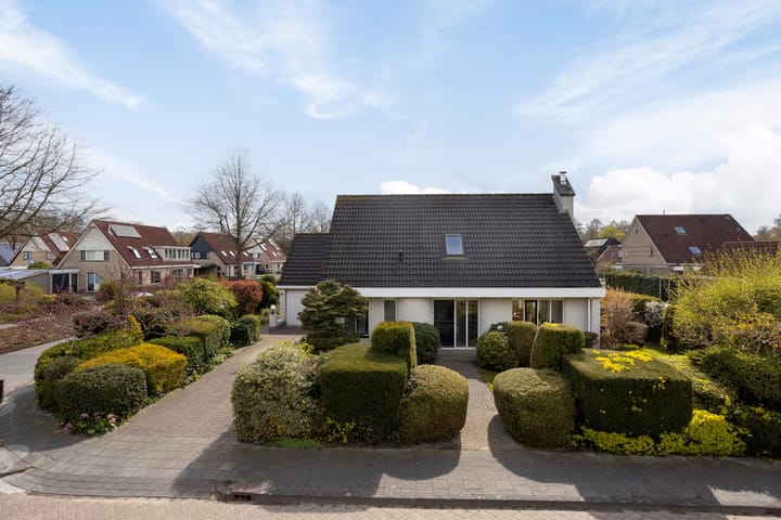 Foto 5 van Hondsdraf 1