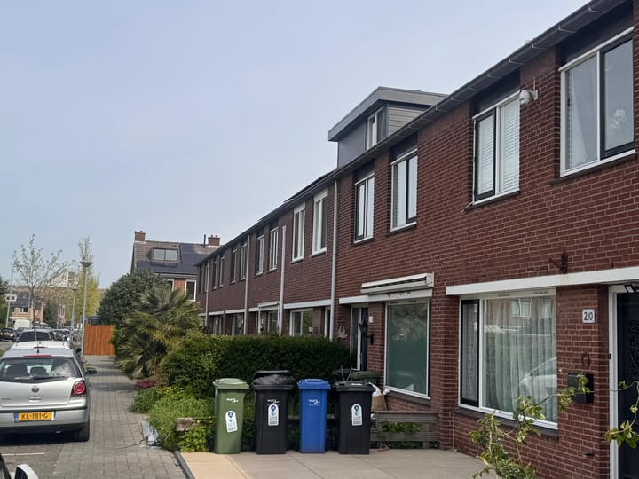 Foto 2 van Dennekruid 210