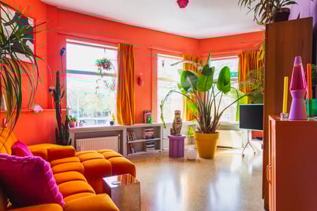 Soestdijkseplein thumbnail