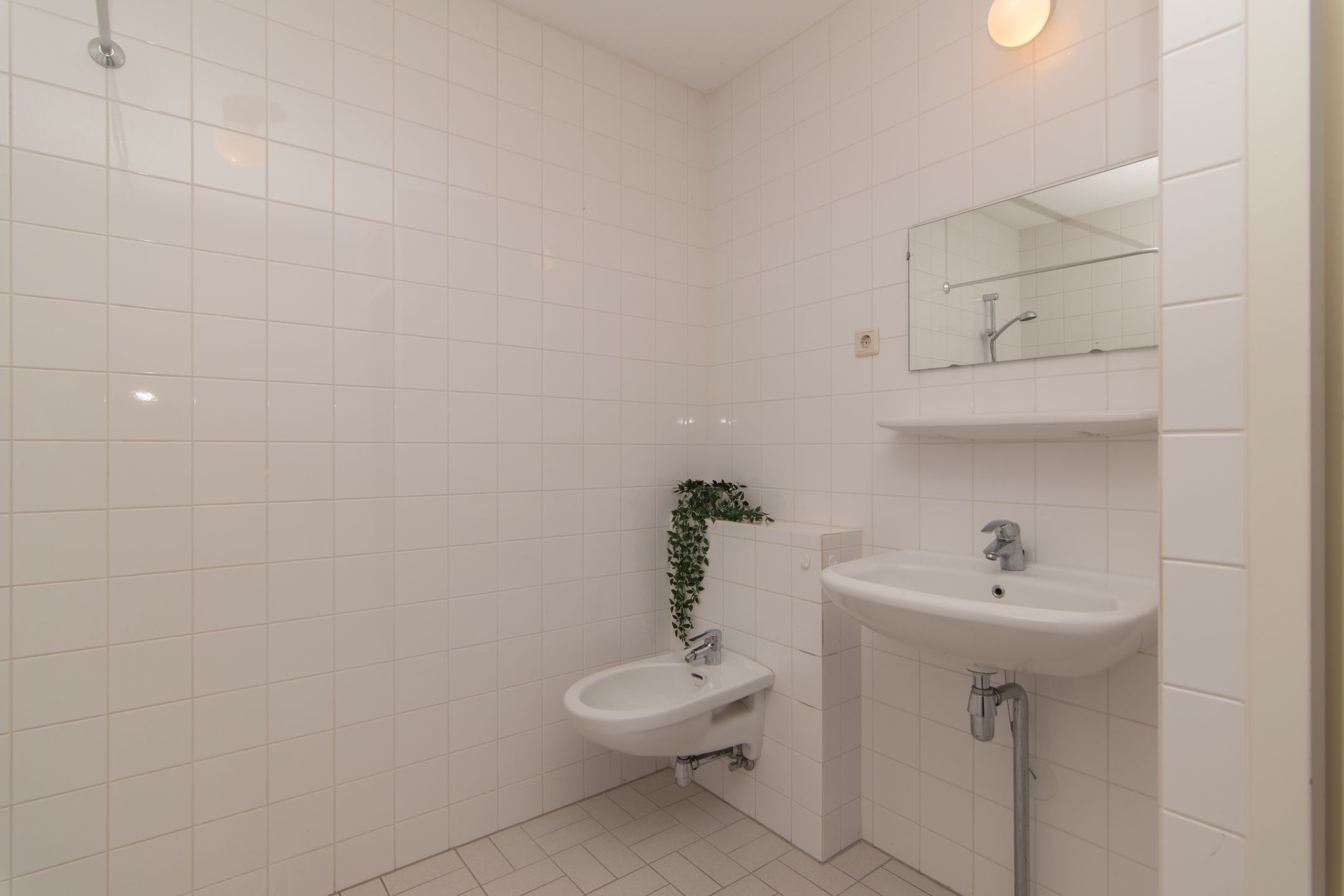 Foto 24 van Uiterwaard 24