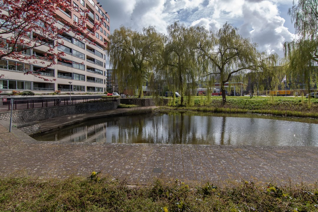 Foto 17 van Uiterwaard 24