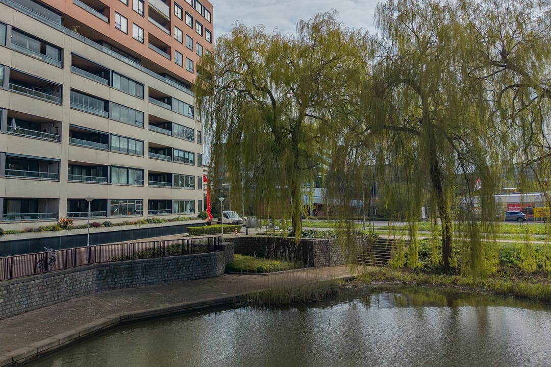 Foto 32 van Uiterwaard 24