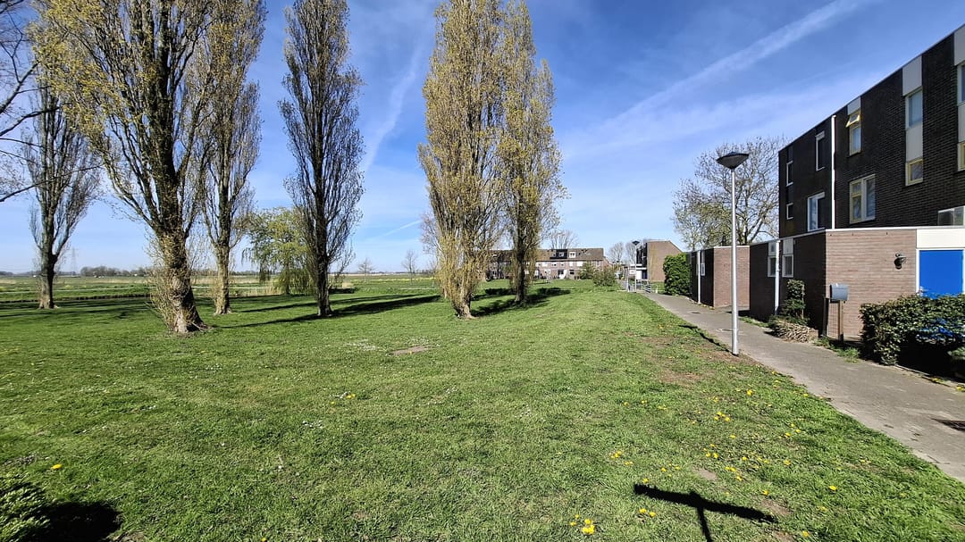 Photo 2 of Offenbachstraat 4