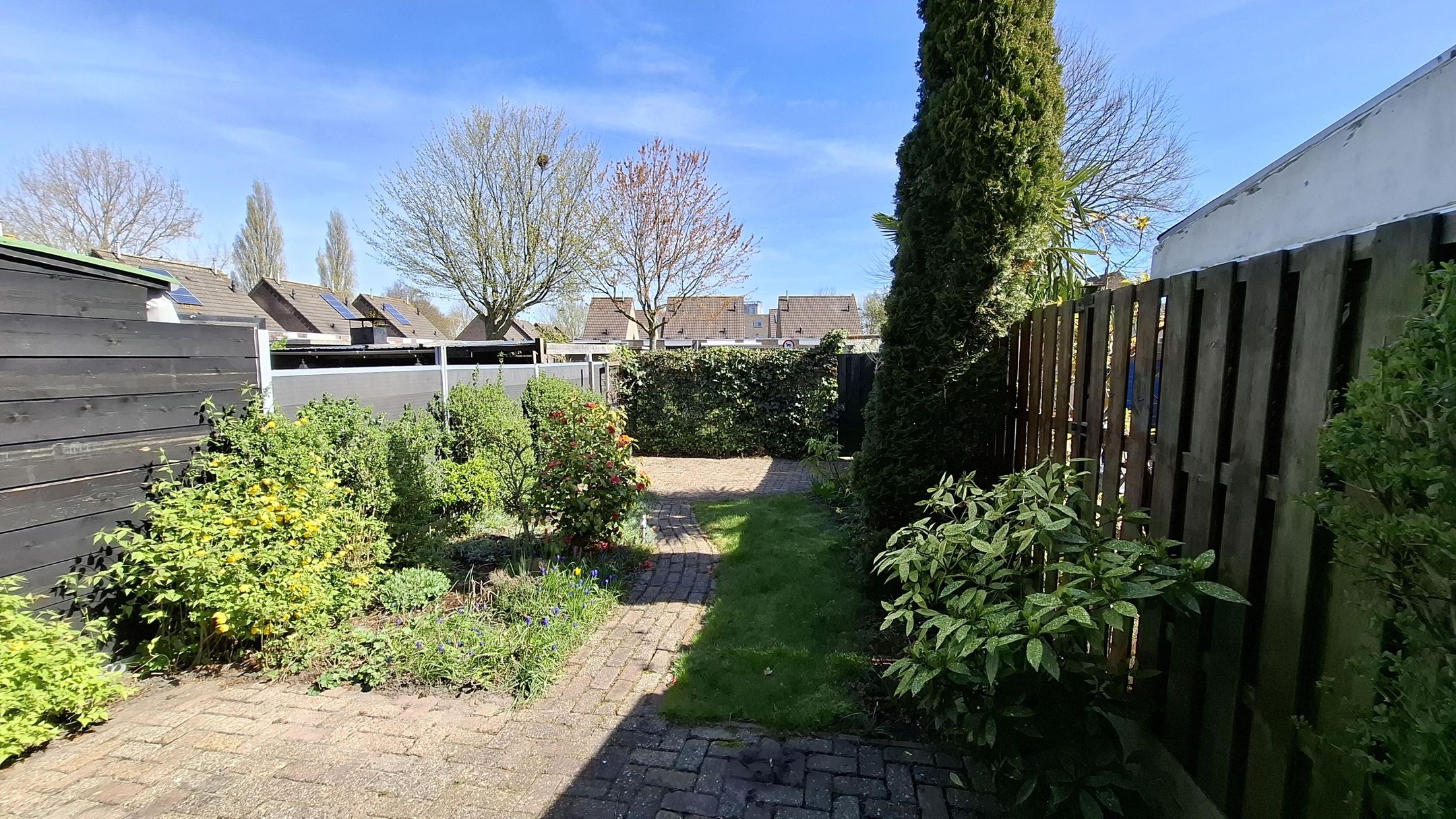 Photo 6 of Offenbachstraat 4